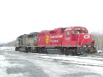 CP 4650 and 7307